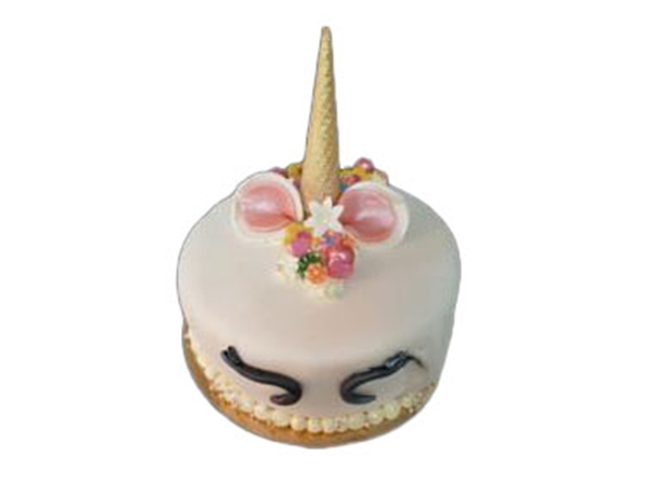 Unicorn vanaf 8 pers