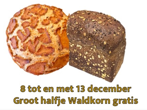 Natuur/desem brood