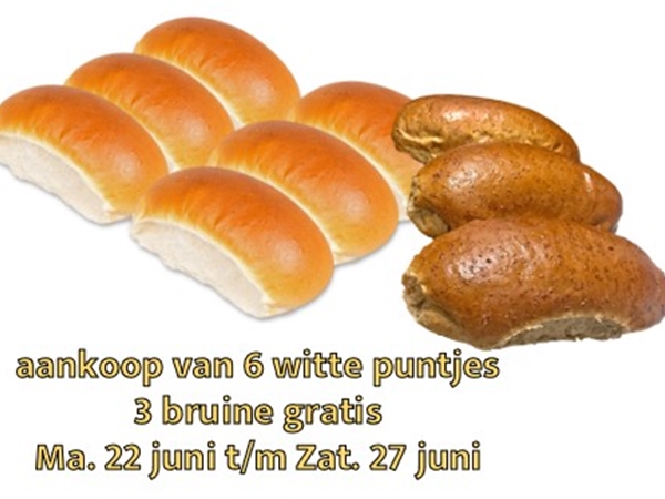zacht puntje&nbsp;6 stuks