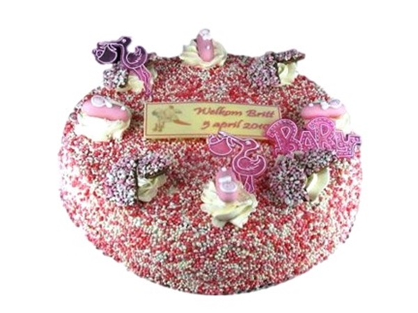 Geboortetaart meisje 16 pers